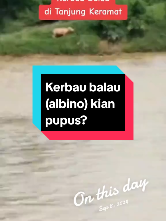 @PUTERA SEMANTAN