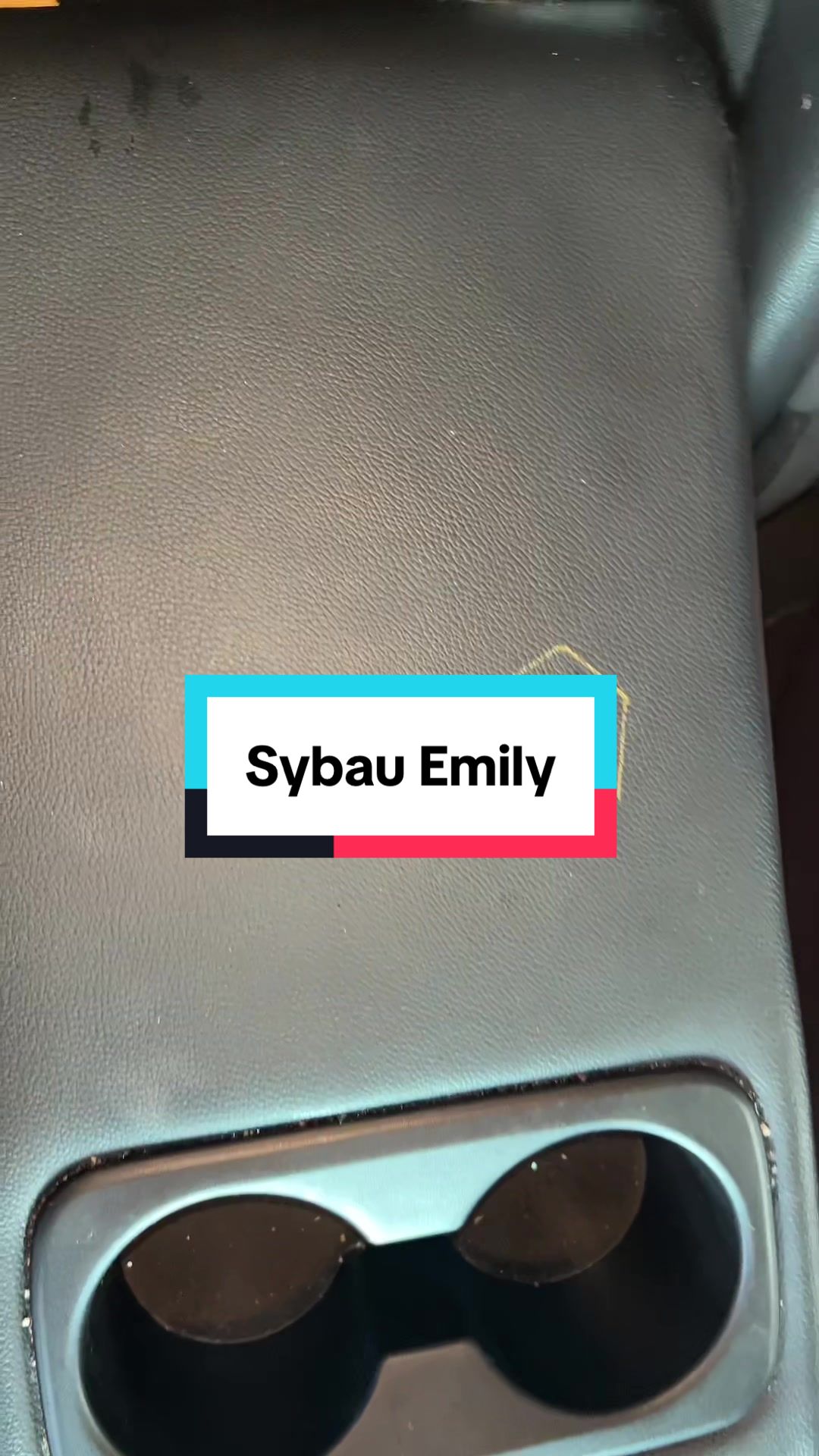 @sybau_names