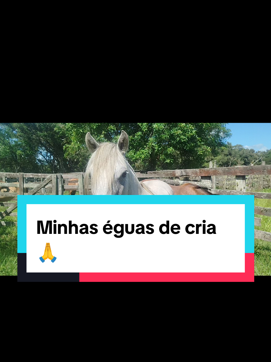 @João Antônio Rupp