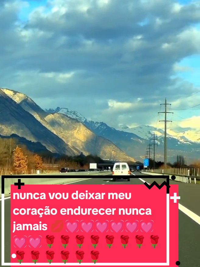 @Aurea Ribeiro