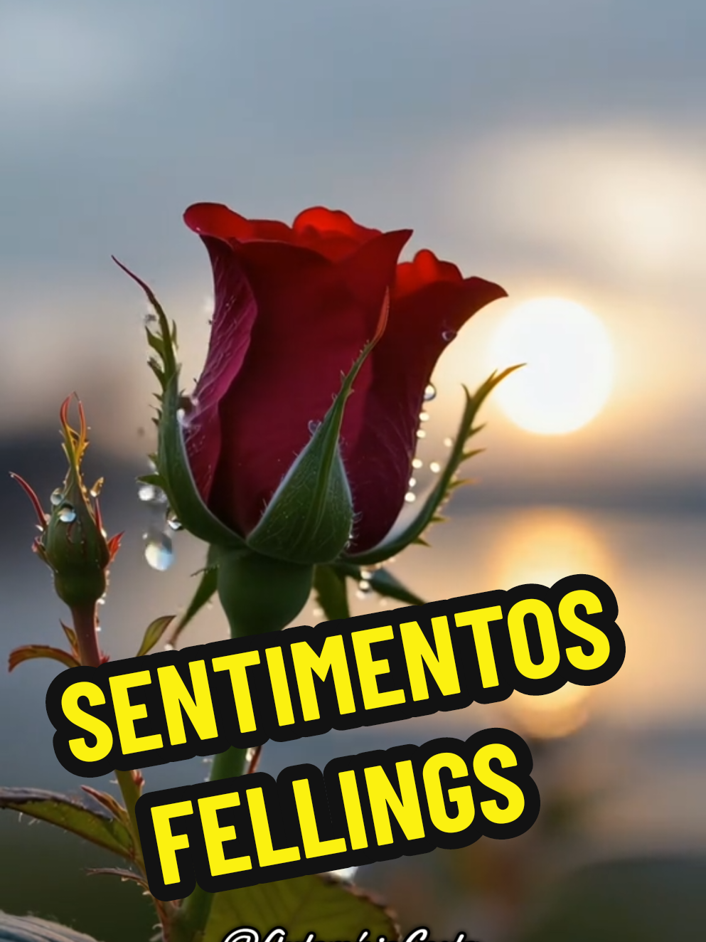 @Artemisio Costa