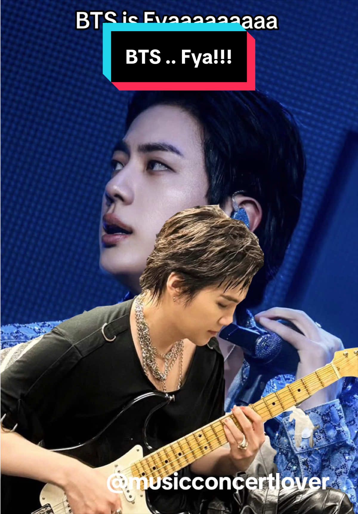 @MusicConcertLover