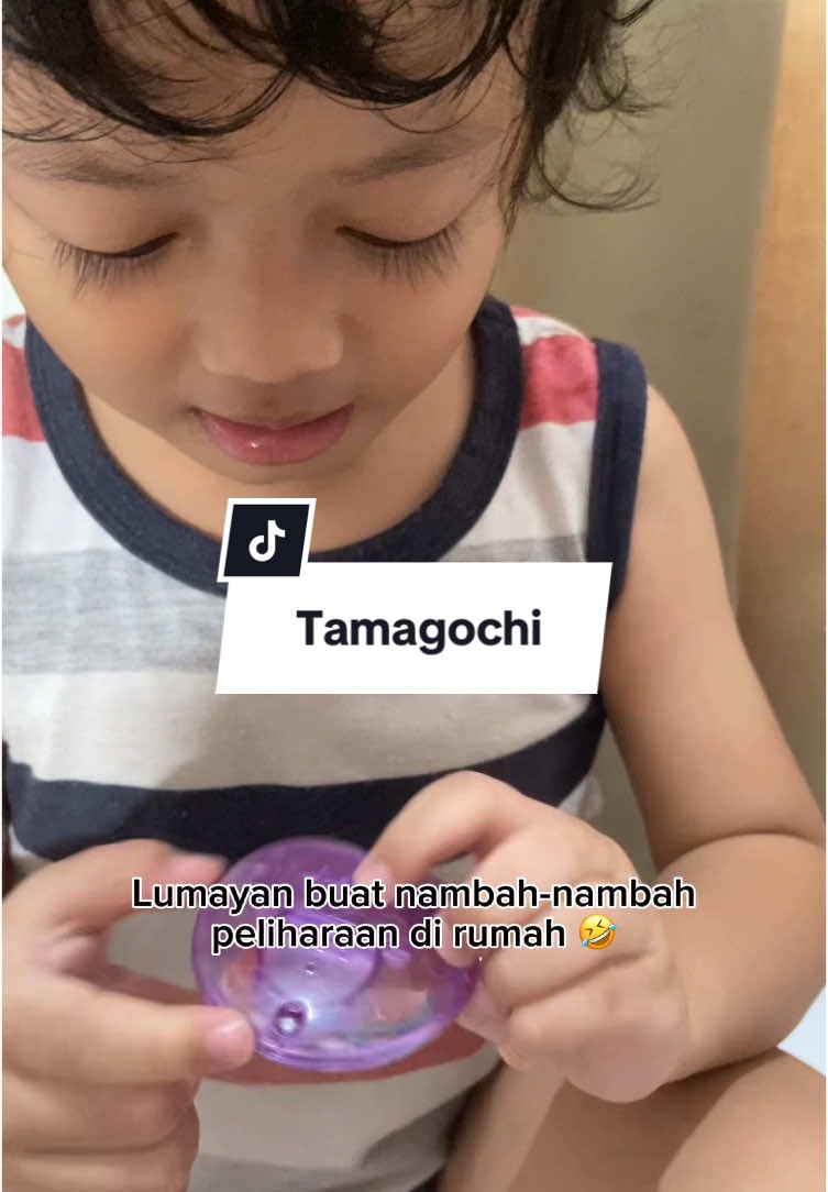 @Omar ismail