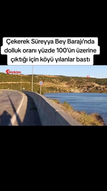 @Sorgunadair
