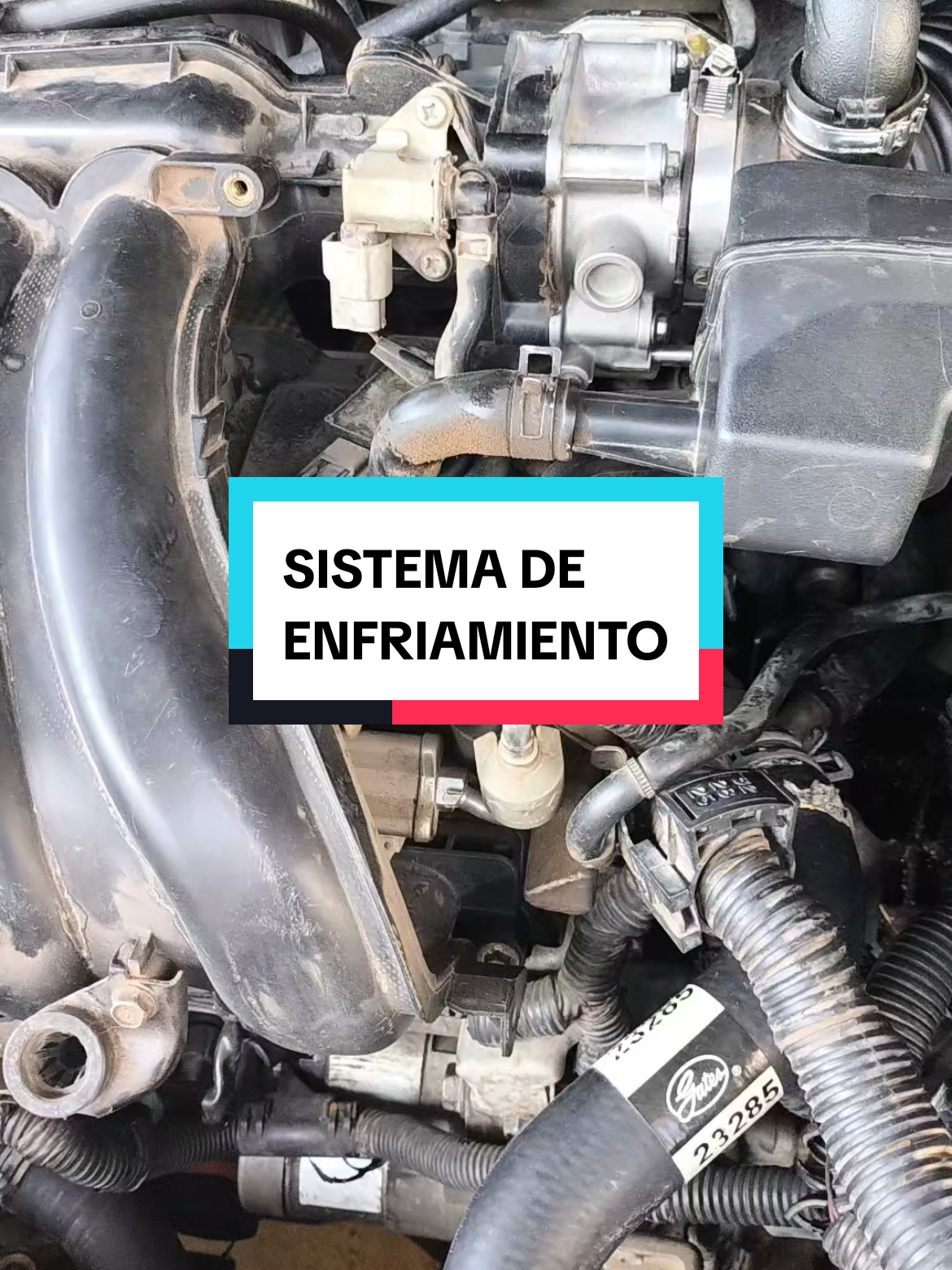 @Grupo Técnico Automotriz🇲🇽🌎