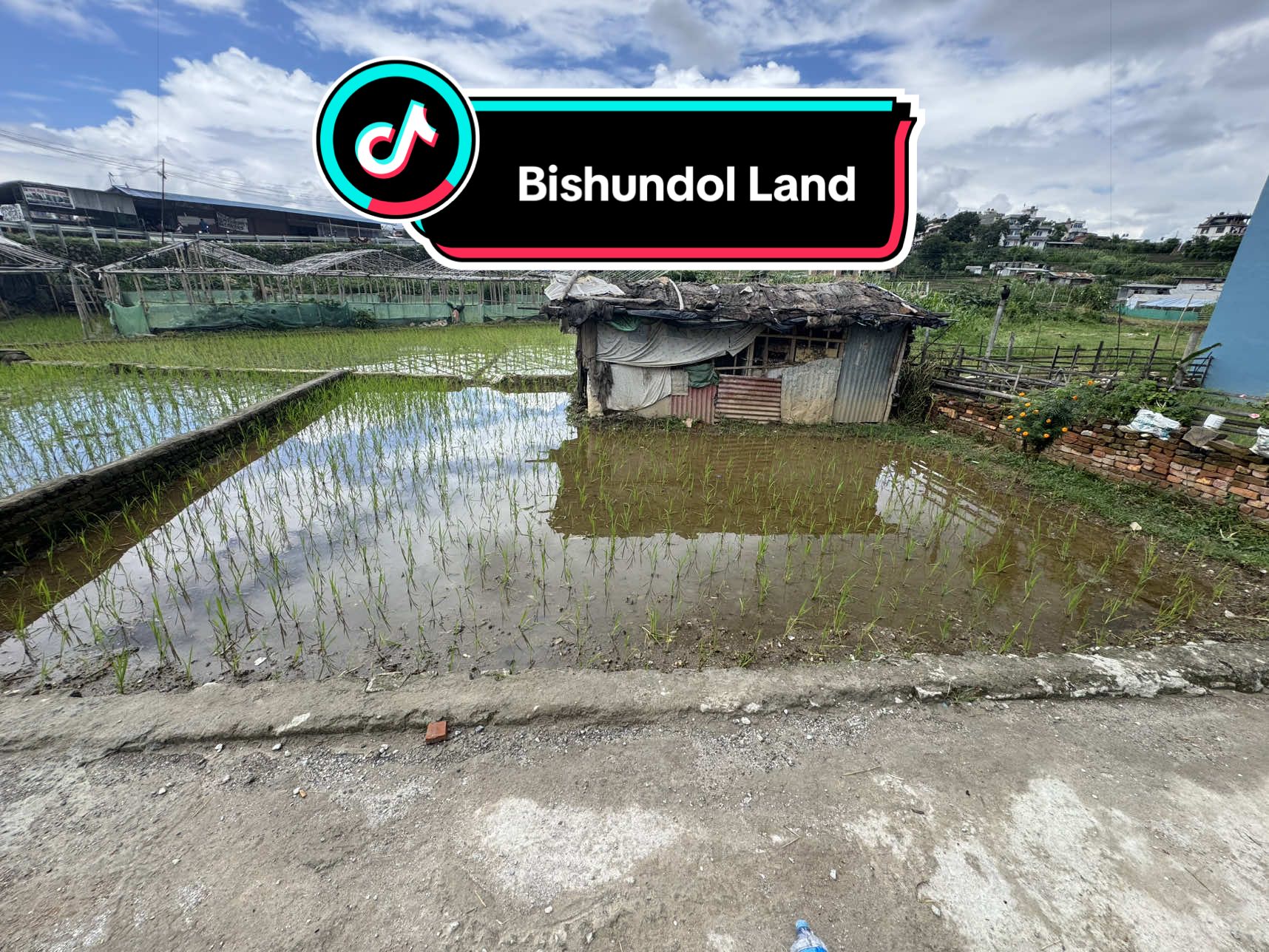 @Dd_Baini Real Estate