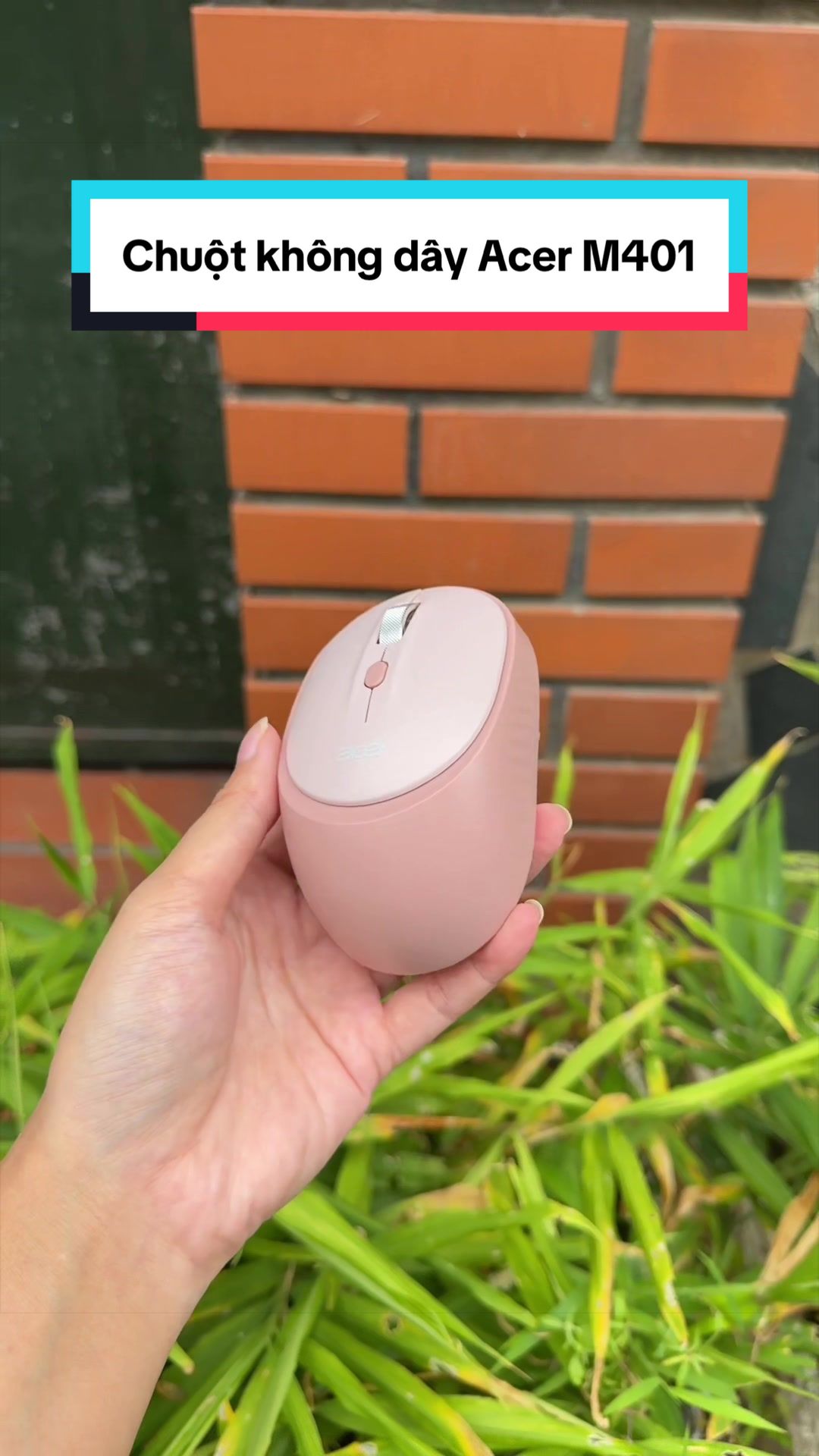 @Tuấn Bình Thường