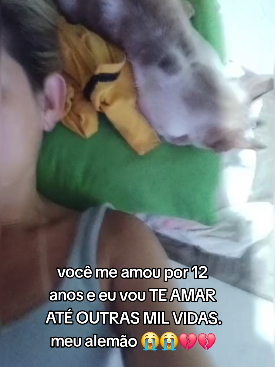 @eu_carol