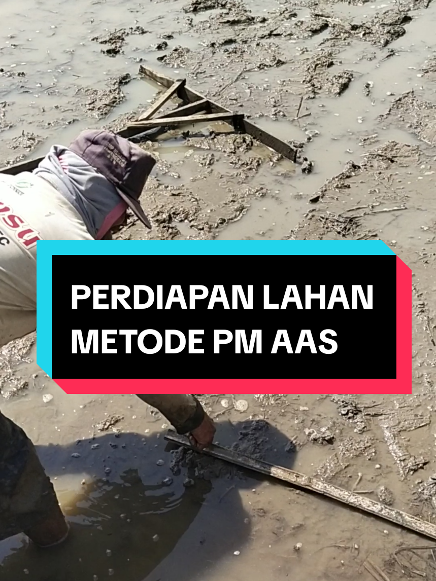 @PPL KOTAMAKMUR