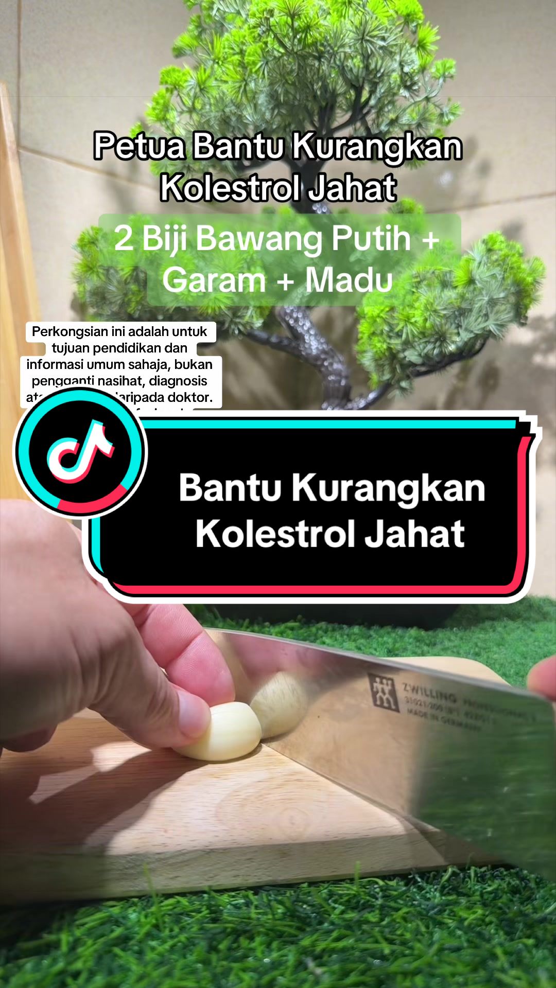 @Mahadi Abdullah | Abg Petua