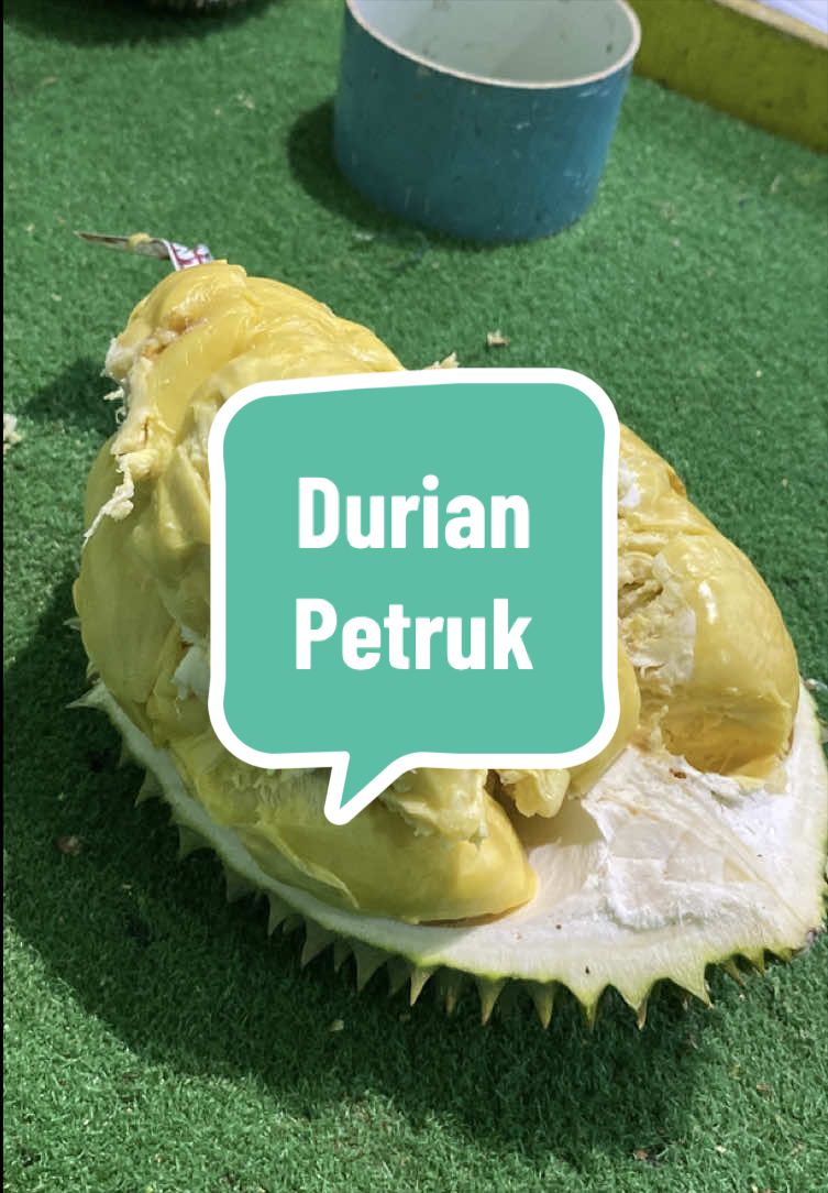 @Rumah Tamma Durian