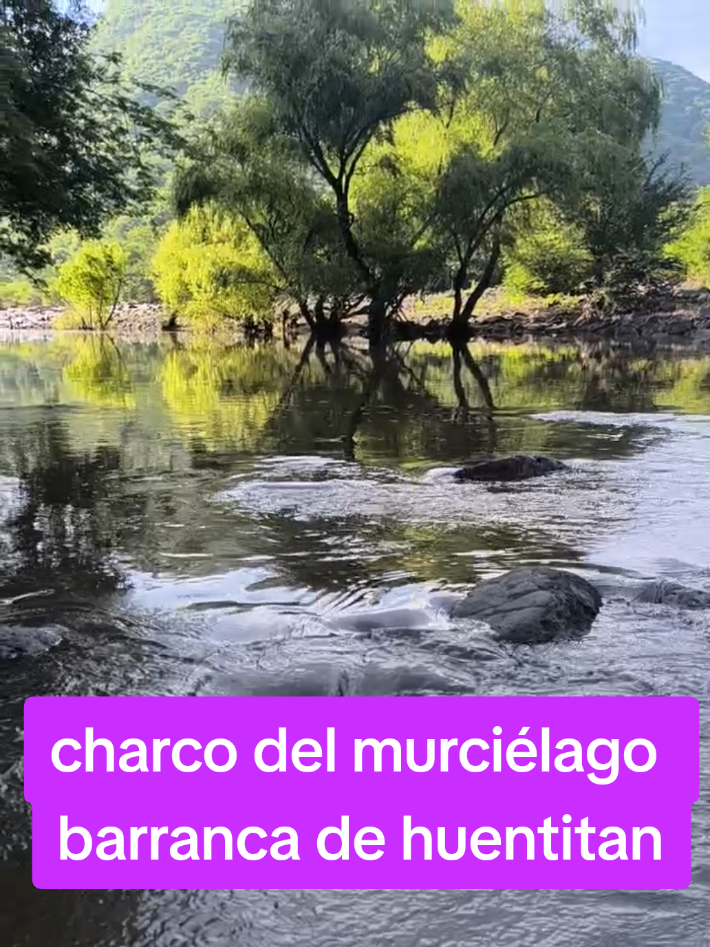 @RA&Uacute;L FL💙
