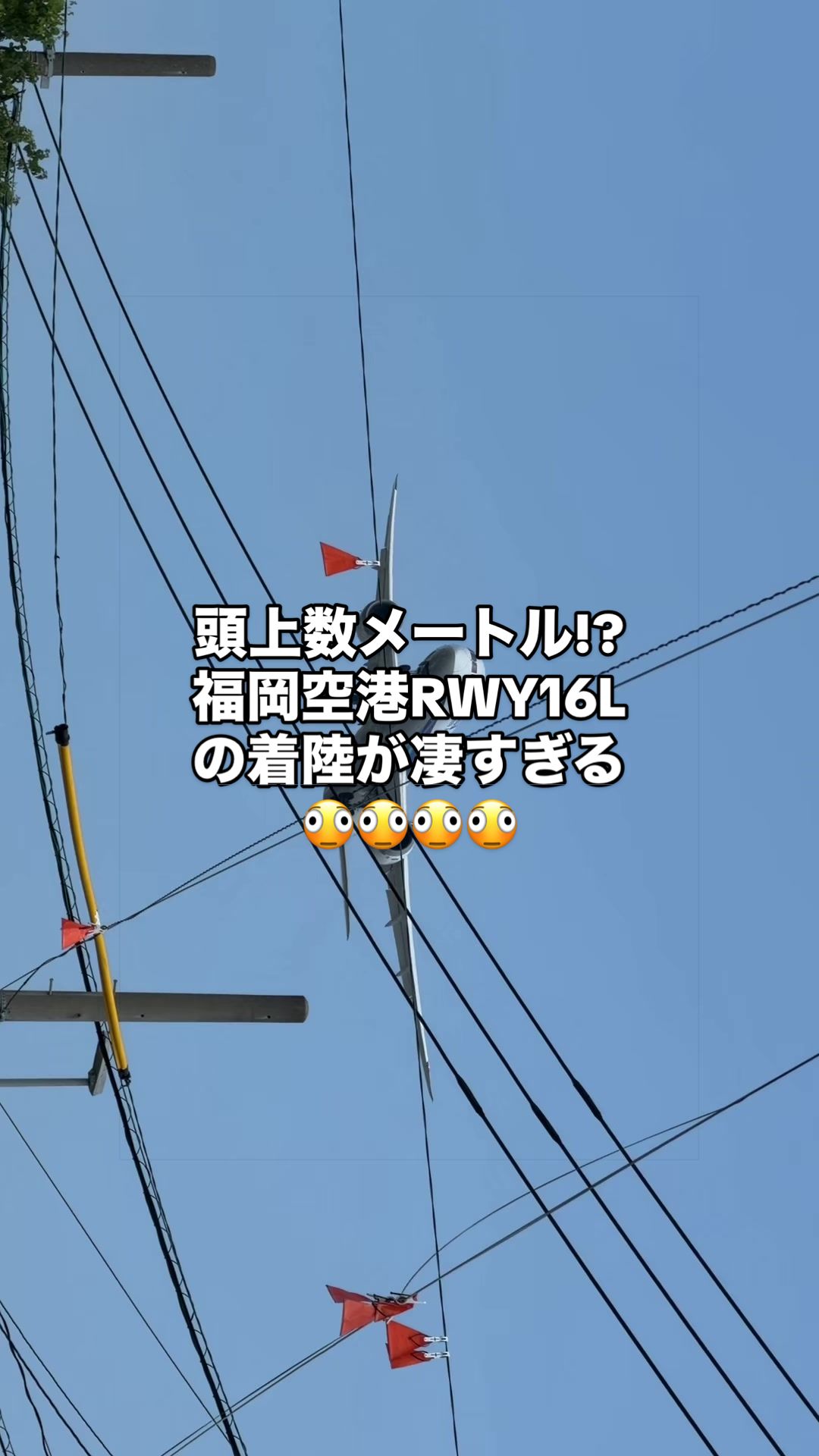 @✈️トト旦