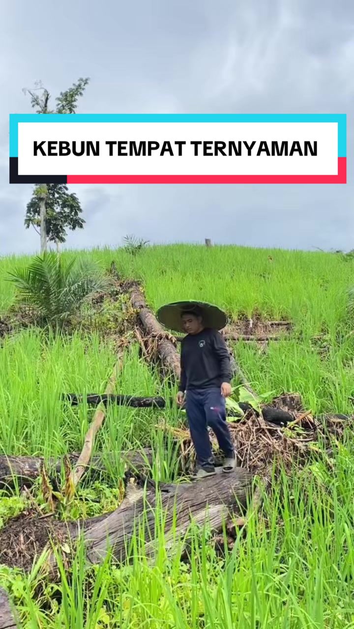 @Konco wiji 2