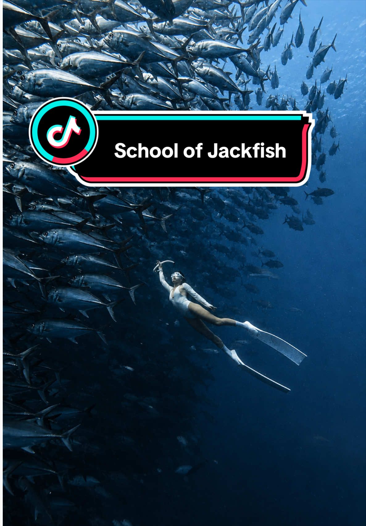 @Love Freediving Nha Trang