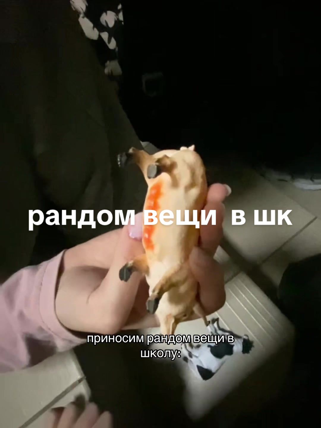 @лена пневма