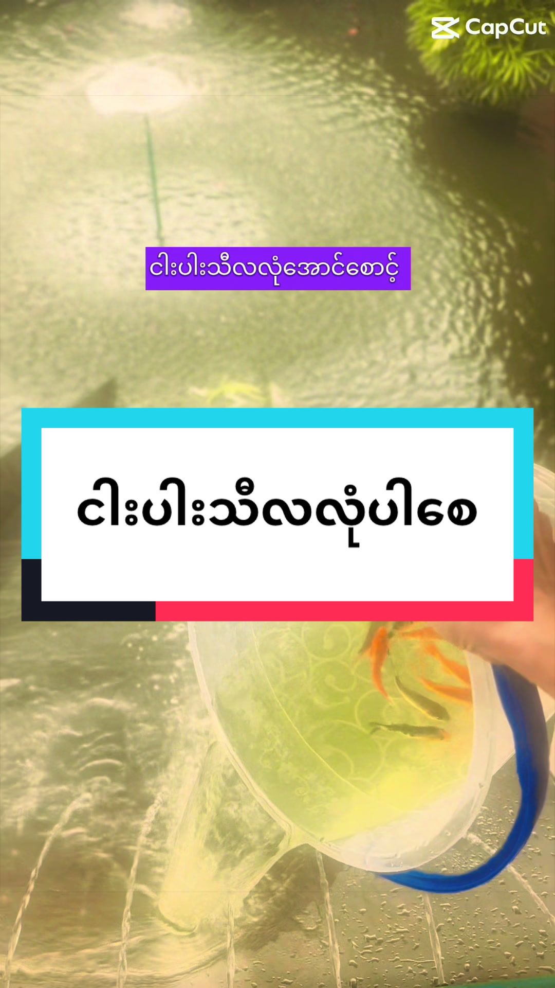 @Phyu OM