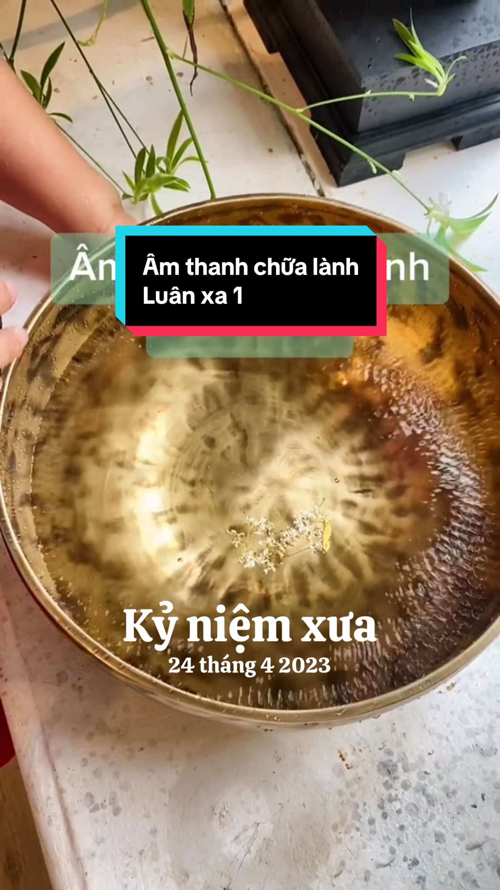 @Phúc Tara