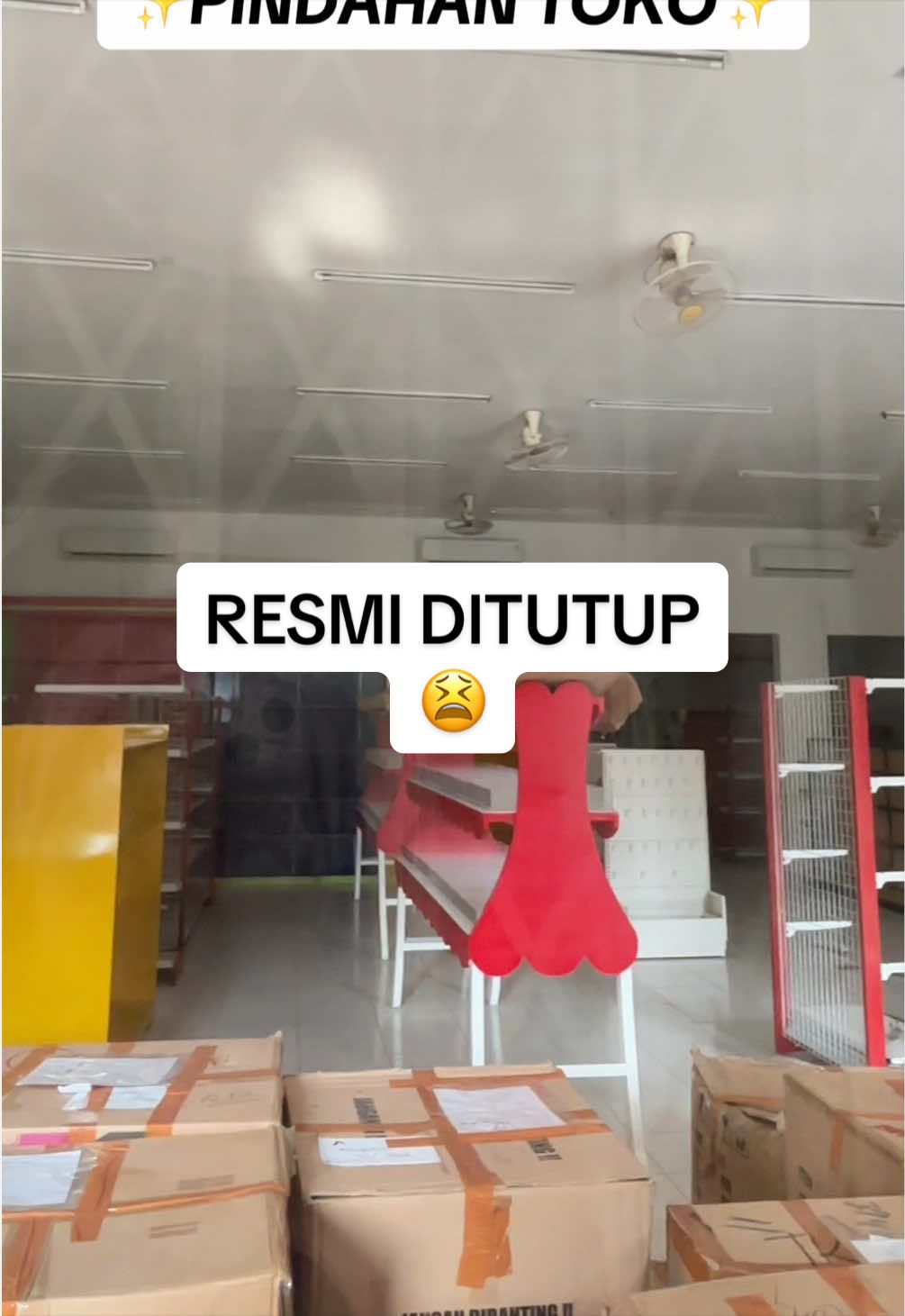 @Toko Mainan Dolphin Toys