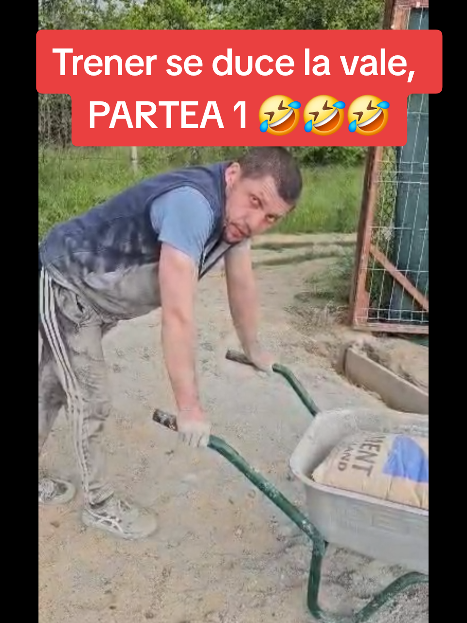 @𝗔𝗻𝗶ș𝗼𝗮𝗿𝗮_B