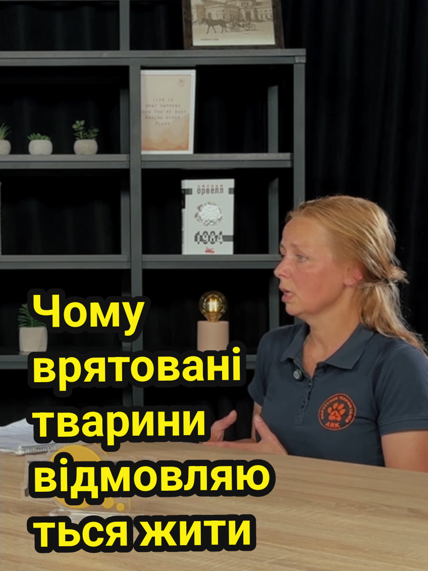 @dumka.media