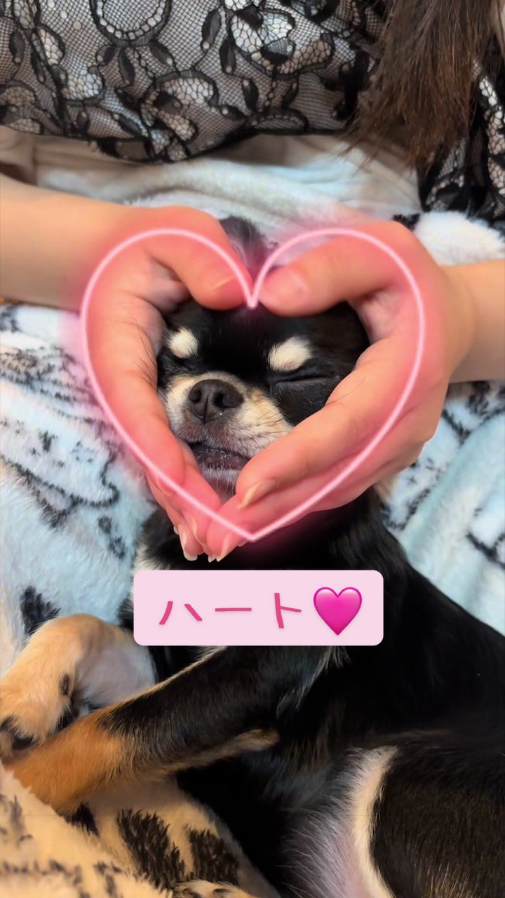 @ちぃちゃん🪽🎀