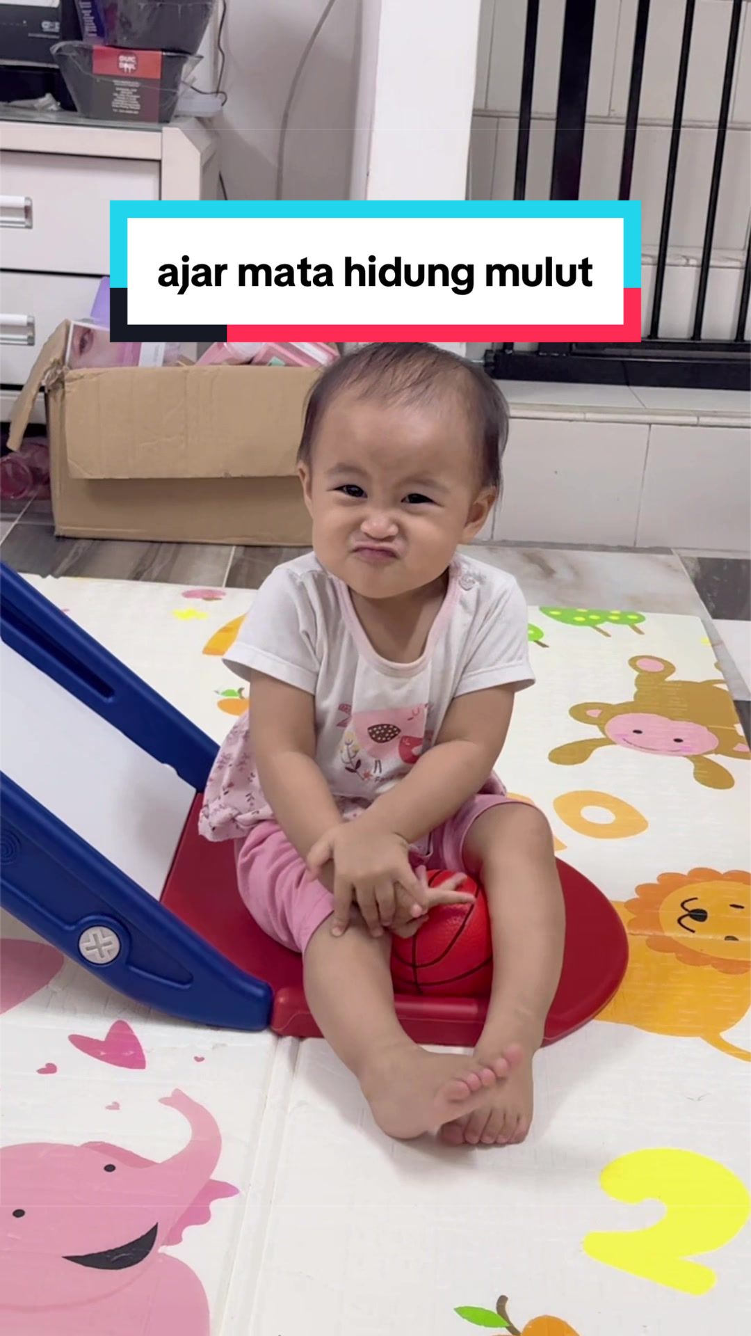 @๐๐๐ค๐ช๐๐ ๐๐๐ ๐จ แต แดฅ แต