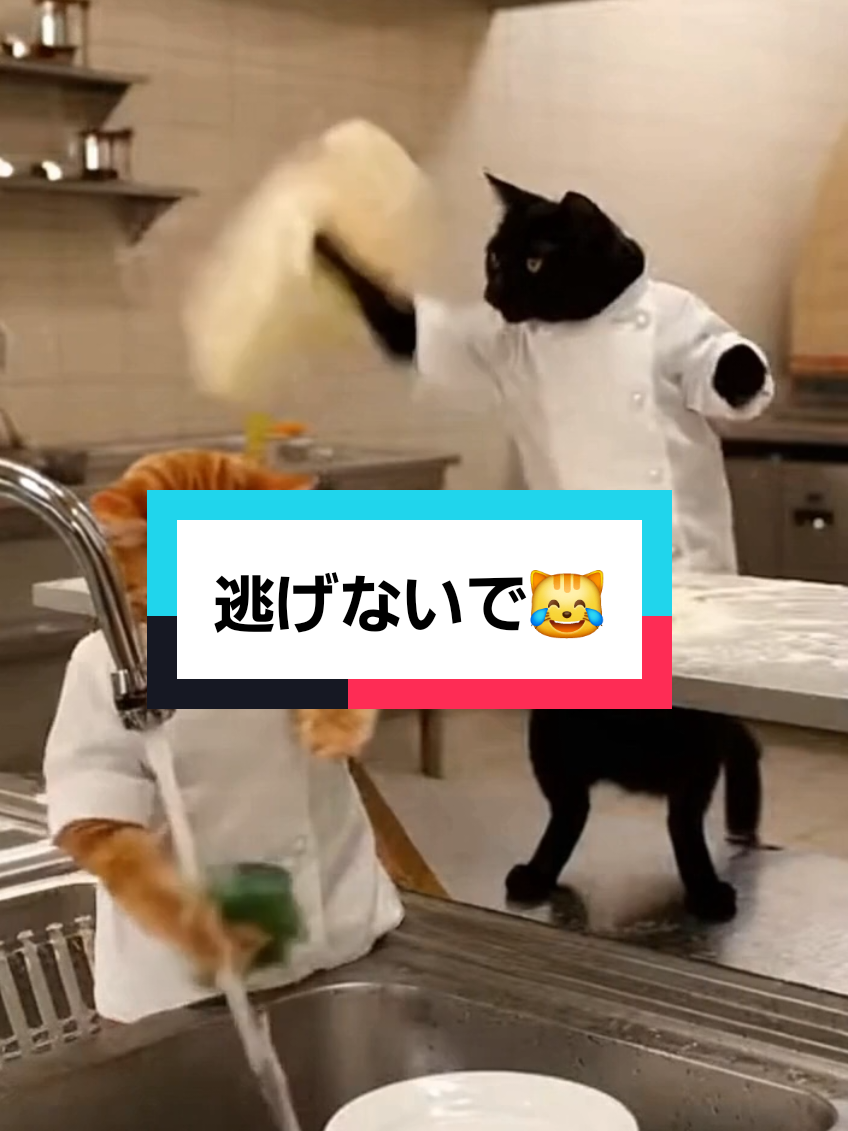 @AI動物園園長
