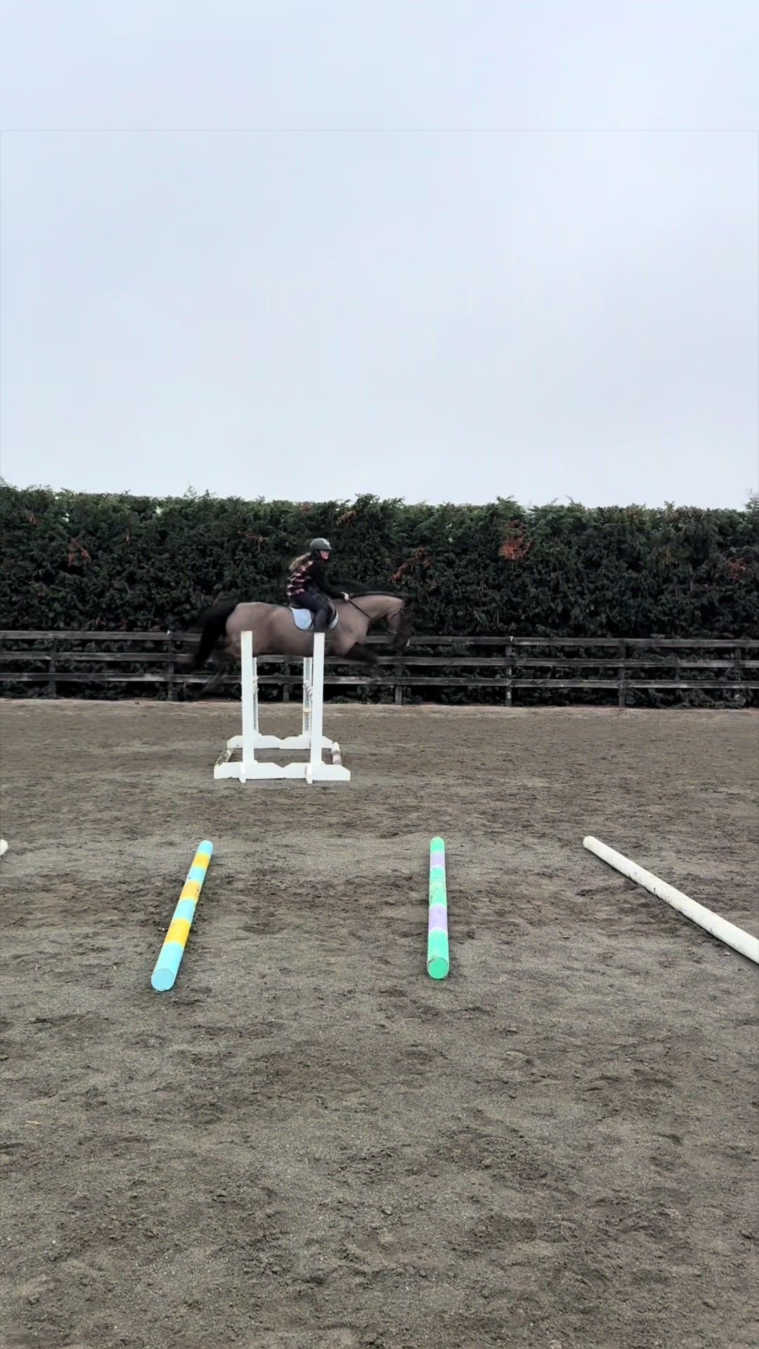 @rubi_andthe3iconicponies