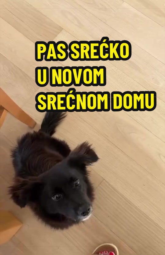 @Maja Kovijanic