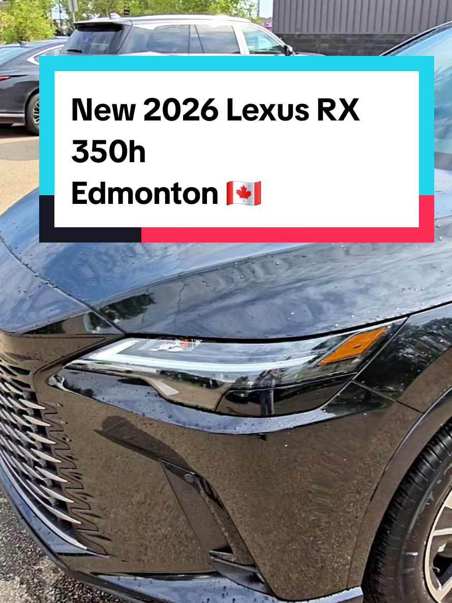 @thelexuswoman