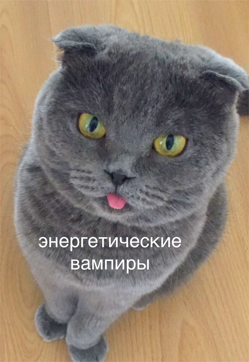 @мамин хep