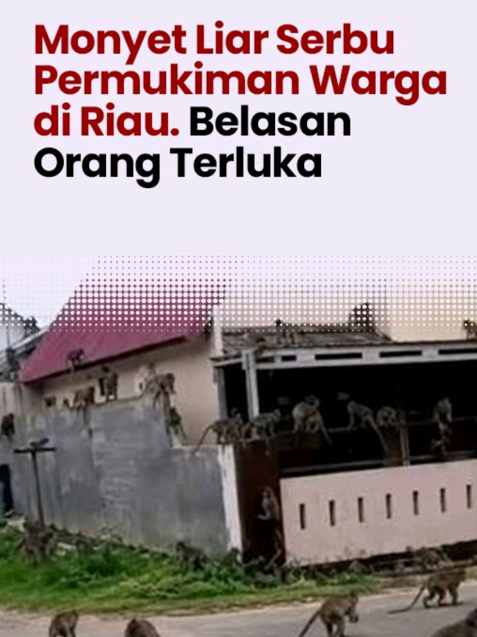 @Warta Ekonomi