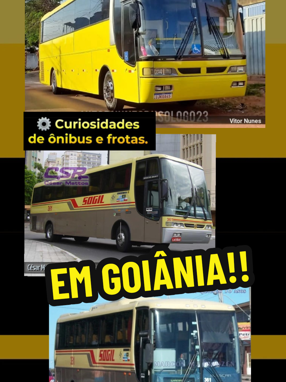 @Mem&oacute;ria da Busologia