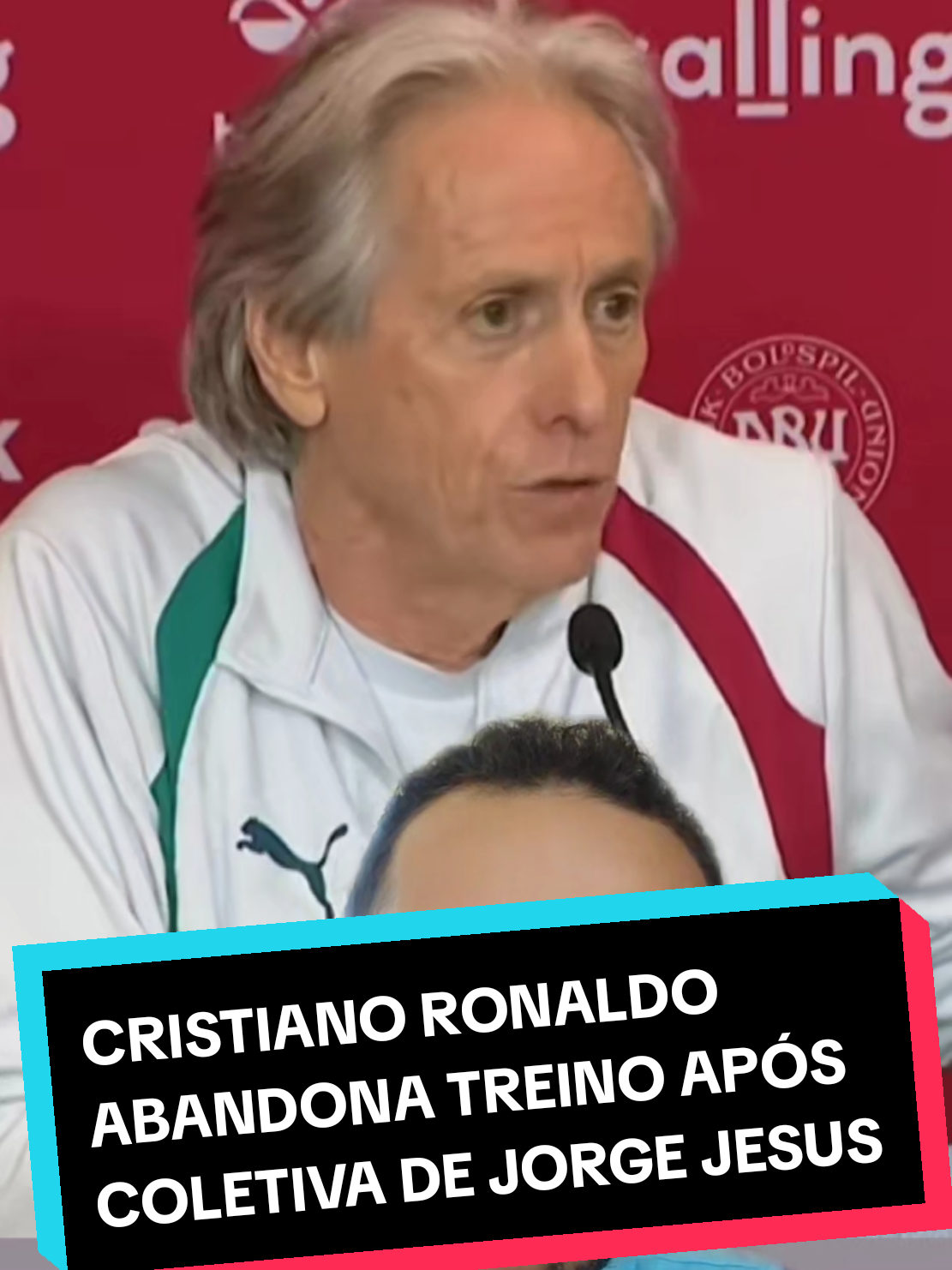 @analistaleigo