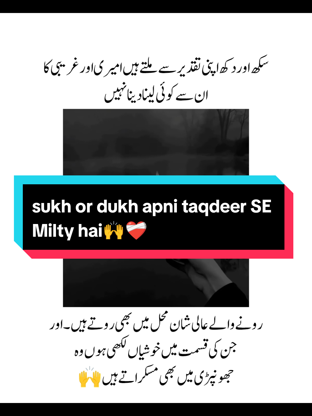 @Sehar JuTt✨&hearts;️