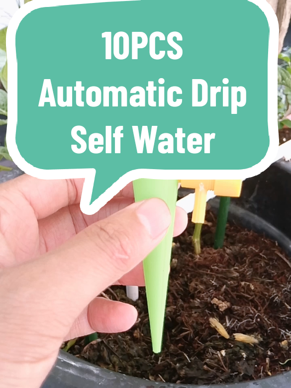 @az-ree