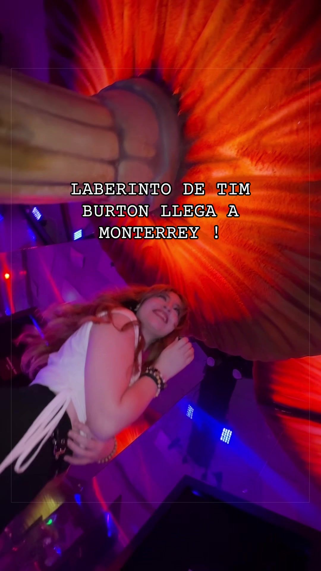 @Sofia Moreno