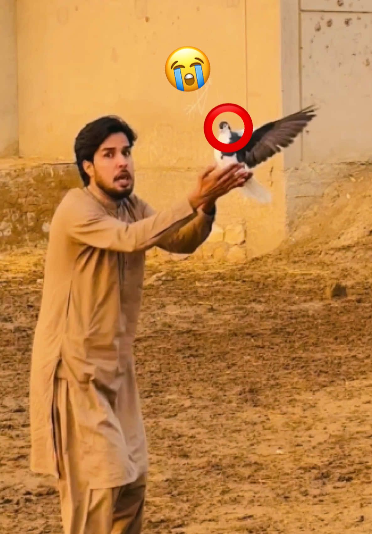 @Usama tunio