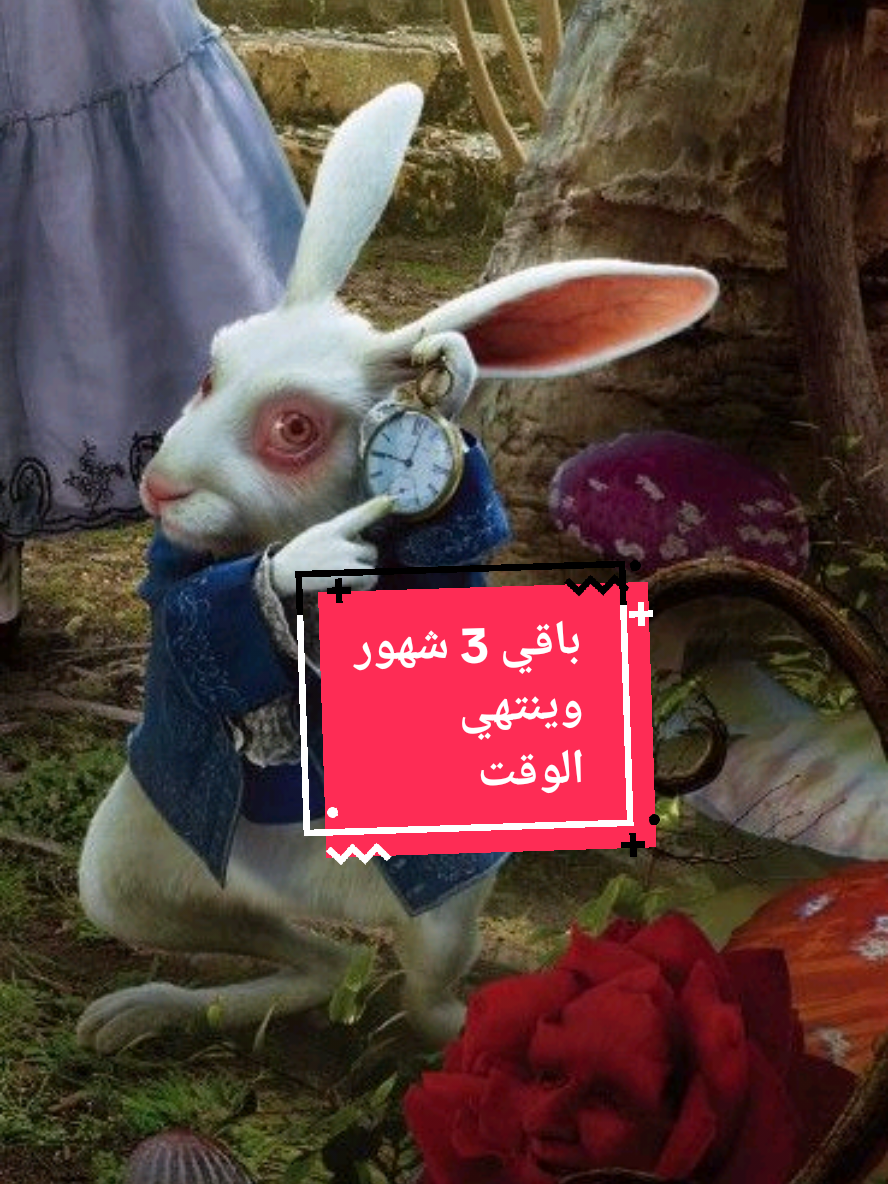 @sallybooks📚