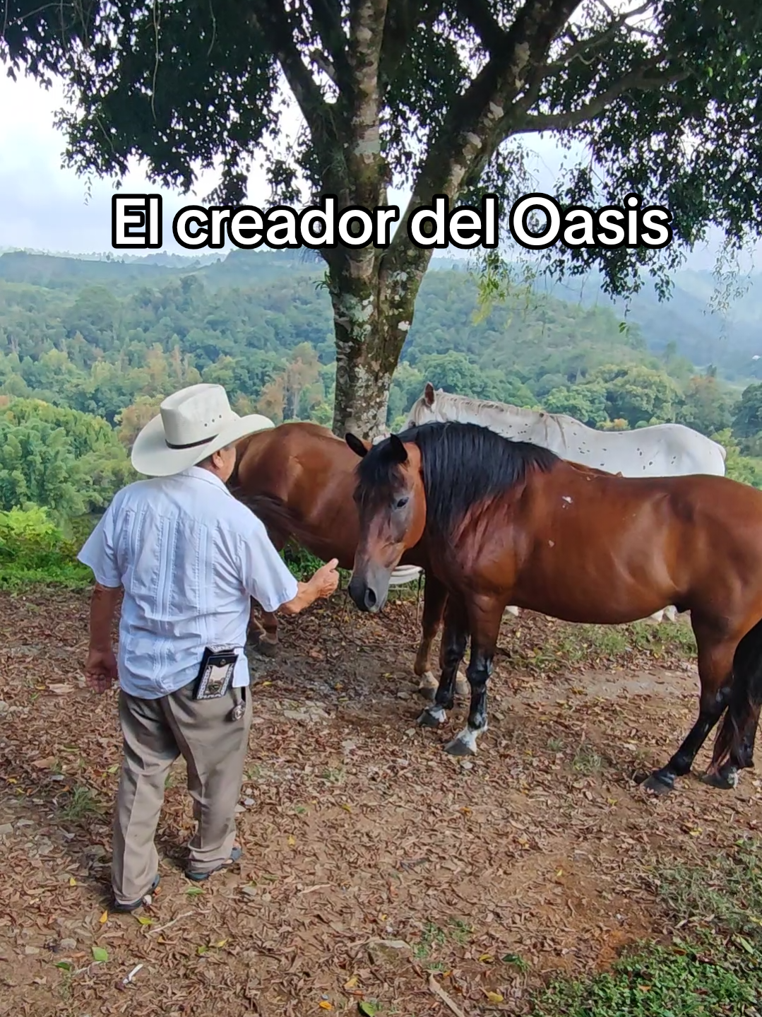 @Aylinat del Oasis 🤠