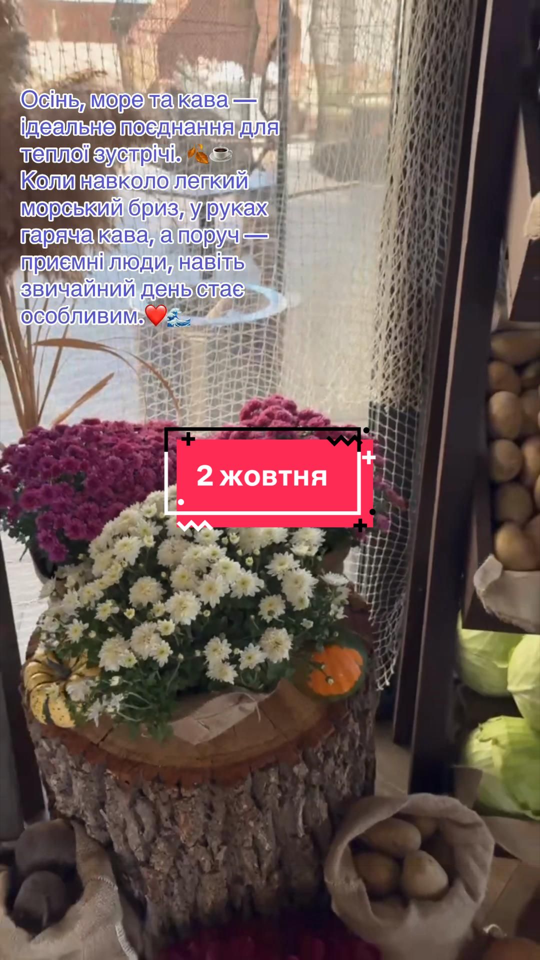@Алена Стойкова