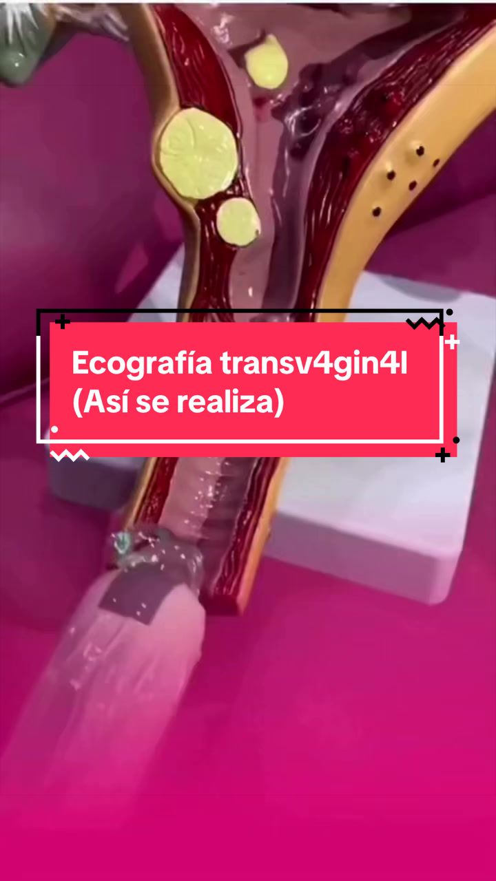 @Dra. Ver&oacute;nica Reyes Ginec&oacute;loga
