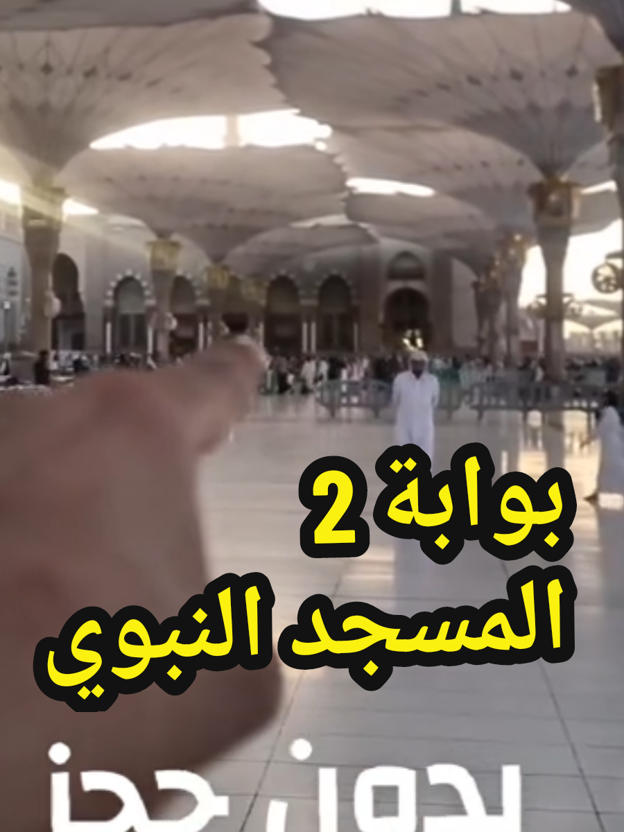 @سعود من المدينة المنورة 🛑