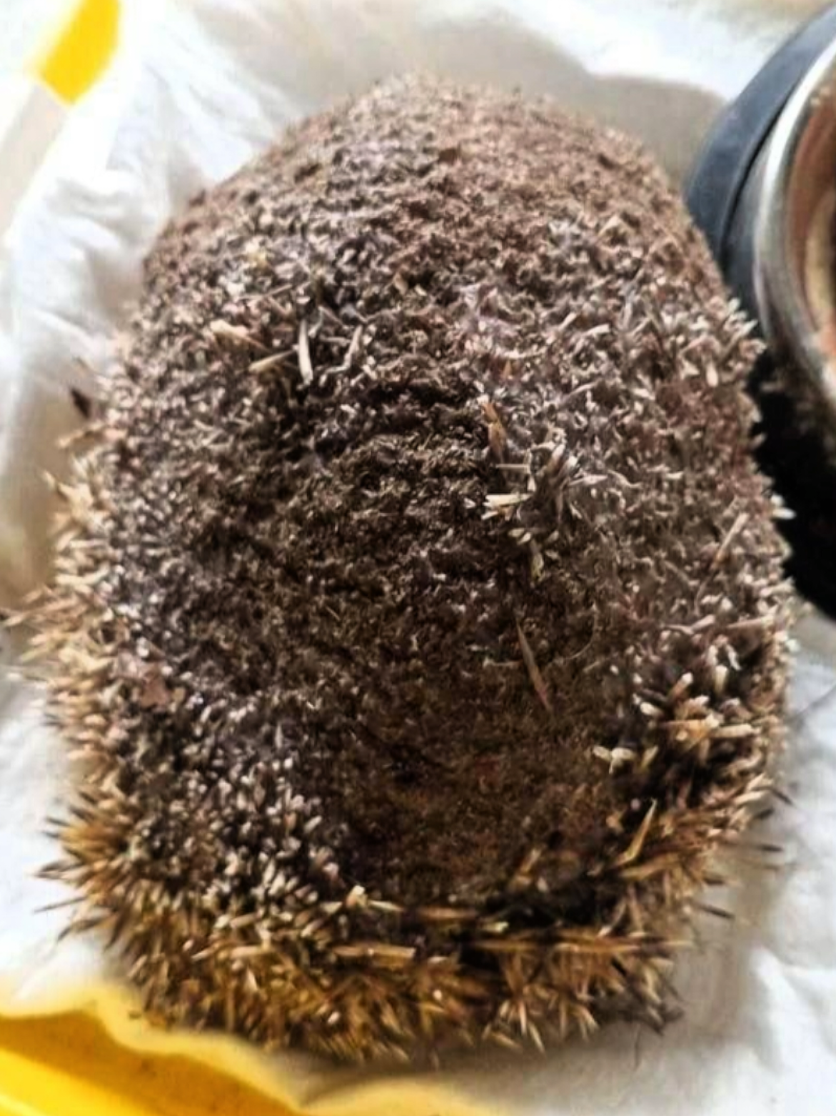 @по жести