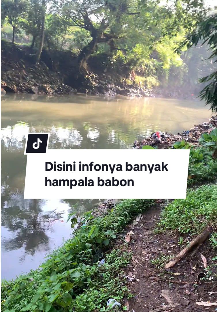 @Bang Fajri 🎣