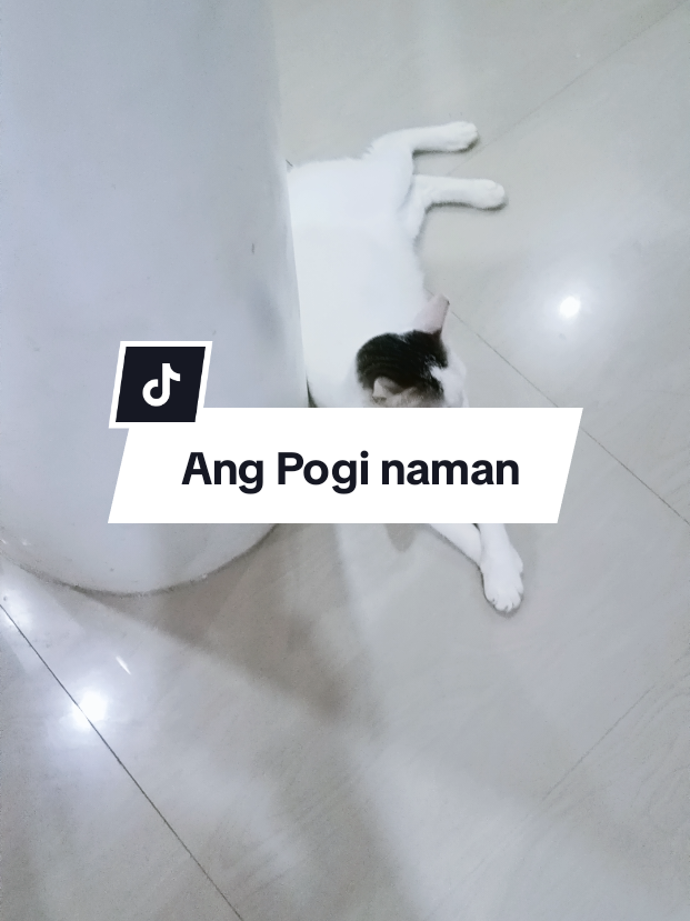 @inday alicia
