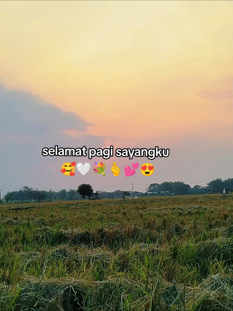 @rendo | 𝐓'𝐖𝐑𝐆