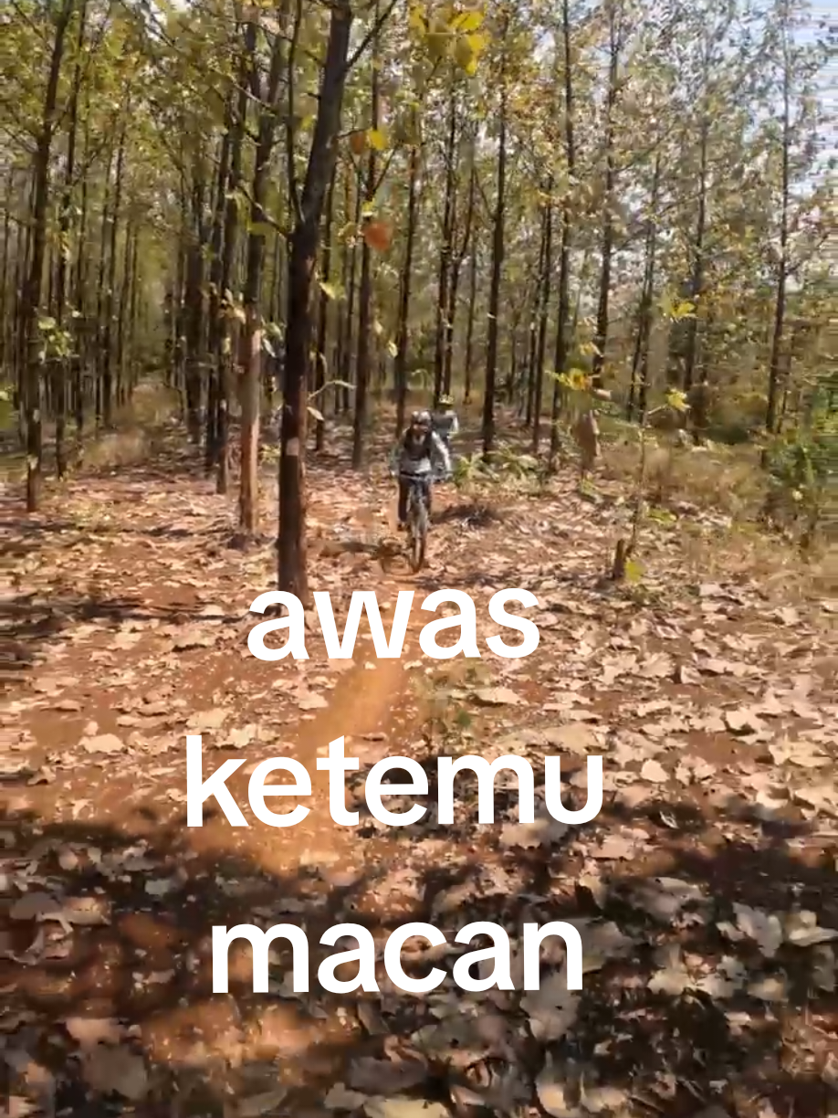 @Probolinggo Bike Track