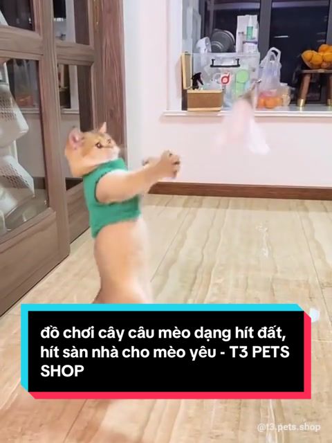 @P&iacute;c đ&acirc;y 💜💜